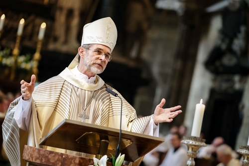 Predigt zur Priesterweihe im Stephansdom im Juni 2026