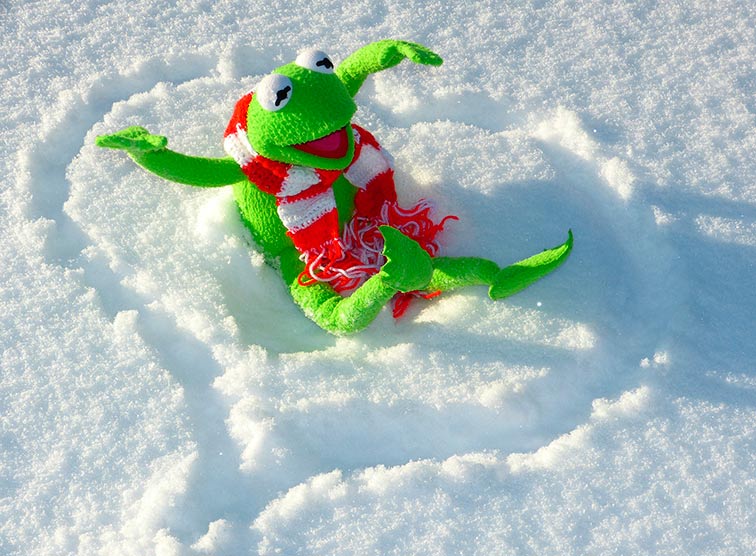 Winterfreuden / pixabay